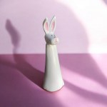 Pitkäkorva Jänes 2