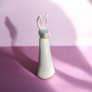 Pitkäkorva Jänes 2